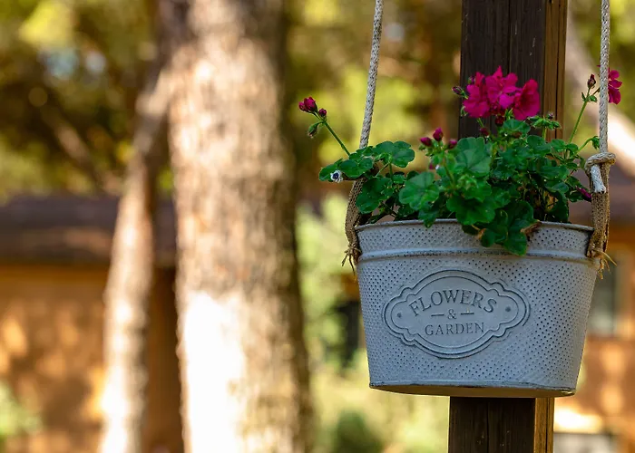 Aparthotel Ristorante Il Paradiso